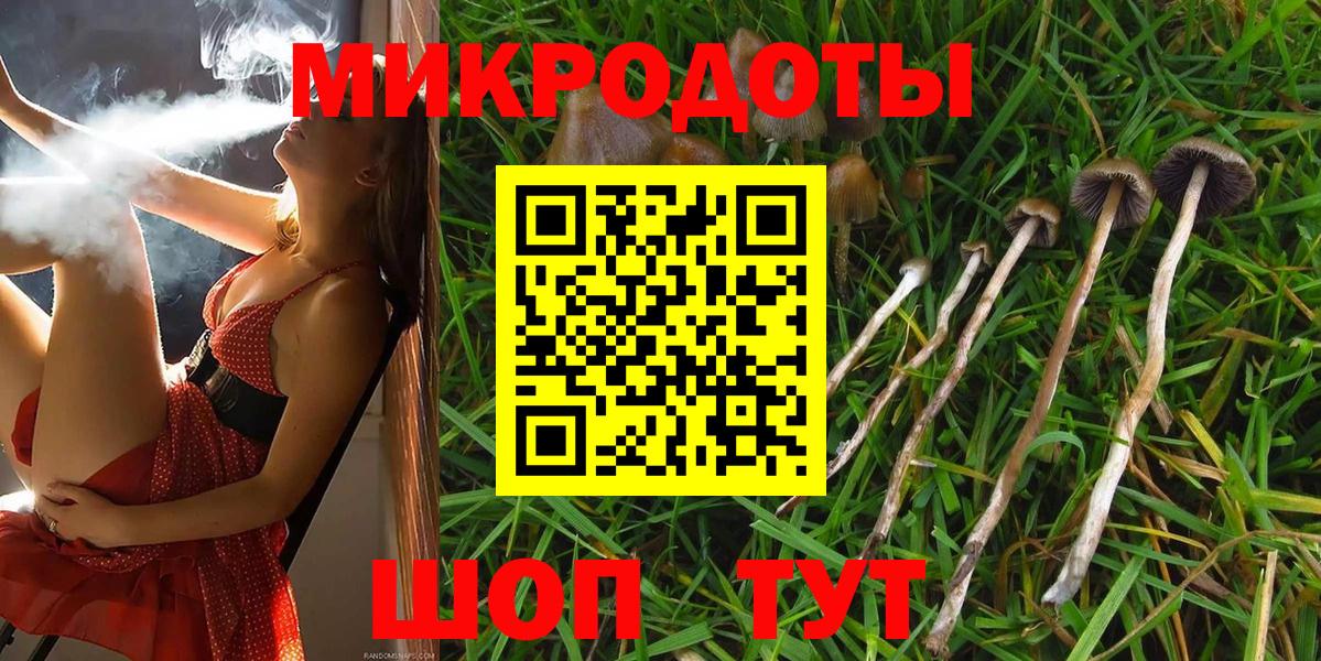 Борисоглебск  Псилоцибиновые грибы Magic Shrooms  где купить наркоту  Вход с VPN  Галлюциногенные грибы мицелий 